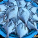 광주-송정-8 이미지