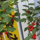 김영부동산공인중개사사무소 이미지