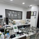 젤라또공대 이미지