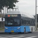 316모터스