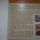 낙안읍성자료관 이미지