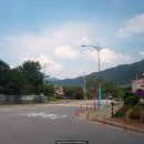 레드폭스 민박 이미지