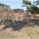 SKJ상경원요양병원 이미지