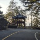 옥상파티 이미지