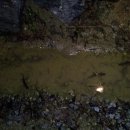 맹꽁이농장 이미지