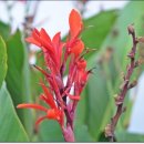 삼무공원 이미지