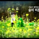 허쉬위쉬