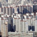 봄부동산 이미지