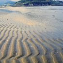 김제광활간척지쌀 이미지