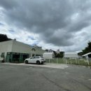 펫프닝 타운 이미지