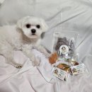 똘이엄마수제간식 | 대구애견간식추천! 강아지 입맛을 돌아오게 하는 똘이엄마수제간식 후기