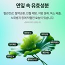 예뻐진콩 | 추천] 건강한 습관으로 가벼운몸 만들기! 청련비책 [개화] 찐 후기! (혈당관리 부터 체지방 연소까지!)
