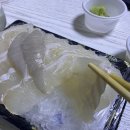 성북구 정릉 [회이크아웃] 가성비 넘치는 회 배달 후기, 서비스로 멍게를?!?🥹