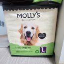 몰리스펫샵 이마트광교점 | 강아지 배변패드 추천: 흡수력 최고! 이마트 몰리스 펫샵 1+1 행사 내돈내산 후기