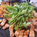 나드리 애견 이미지