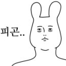 백퍼카페