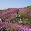 산덕마을회관옆 이미지