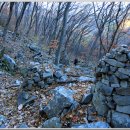 대운산자연휴양림 이미지