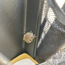 원산도비치캠핑장 이미지