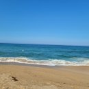 묵호항회집 이미지