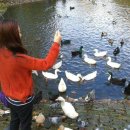 464 | [공지] 2026년 천안 오픽 464 수업 후기 및 안내문 / 항상 그렇듯, ABC만 알고 오셔요!