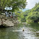 울산맞이직영편의점 | 울산 배내골 철구소 계곡 물놀이 주차장 구명조끼 평상대여 등 상세정보