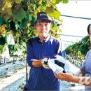 천현농장 이미지