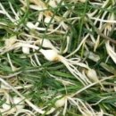 달래농장 이미지