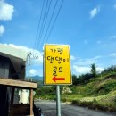 골드애견 | [경기도 가평] &#39;가평 댕댕이 애견 펜션 골드&#39; 후기