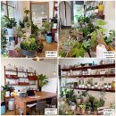 GS25 대구율하점 | 대구율하꽃집 스위트민트 예쁜 선물용 꽃다발