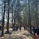 가평 1박 2일 여행코스 추천 (남이섬, 글램핑, 닭갈비)