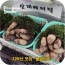 솔밭상회 이미지