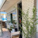 서귀포초등학교 병설유치원 이미지