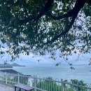 바다냥이네 이미지