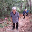 장구봉등산로 Daum카페