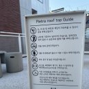 [연남맛집] 연트럴파크 루프탑에서 먹는 이탈리안 젤라또 ‘피에트라’