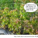 아브라함농장2 이미지