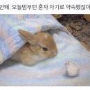 점례네분식호떡