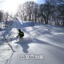 앗피리조트 여행후기(정우찬 프로) 이미지