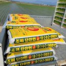 사비농장 이미지