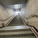 제노PC방 | 경복궁 맛집 철가방요리사 도량 방문 솔직후기 (전메뉴 거의 먹음)