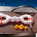 다윈하우스 이미지