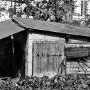 보문산로 이미지