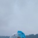 동이리주상절리 Daum카페