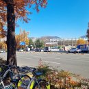 농구장 옆 횡단보도 이미지