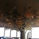 쉼터카페 이미지