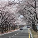 초당방민박
