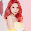 컬러인사이트 이미지