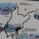 앨리사 이미지