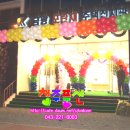 포란제 이미지